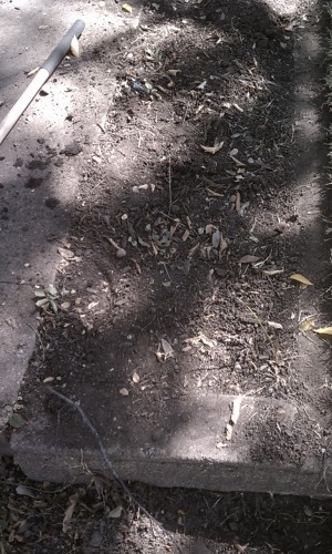 planter2
