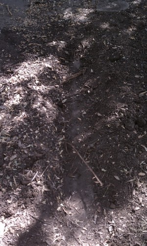 planter3