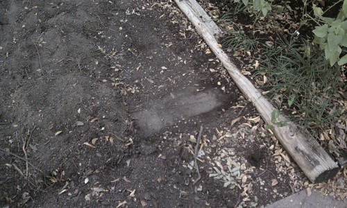 planter4