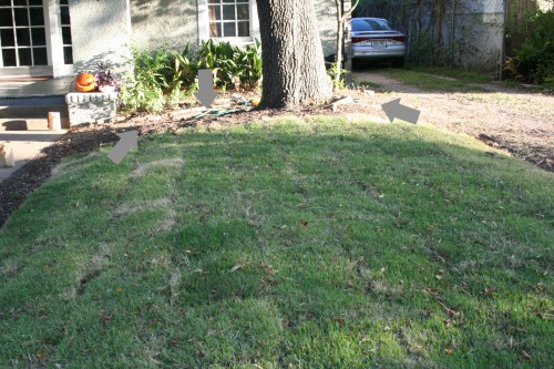 garden-space