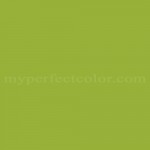 behr bamboo leaf